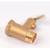 Válvula de Seguridad 3/4" 8 Bar Thermor 263013 Original 029518